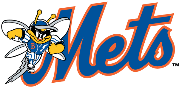 Binghamton Mets pres primary logo iron on heat transfer